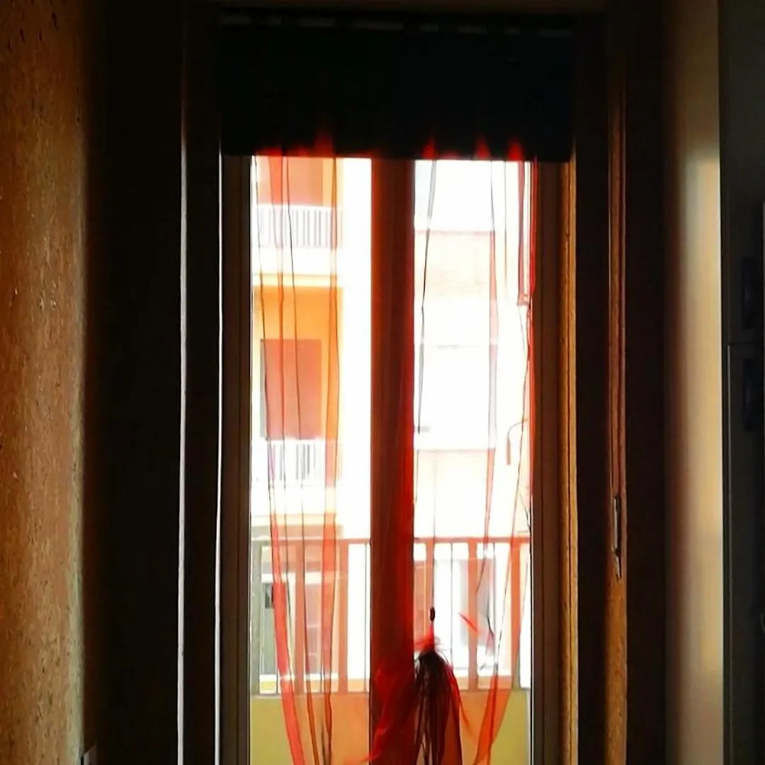 아파트 Belmeloro Home 볼로냐